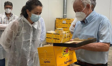 Es  Andalucía - Almería