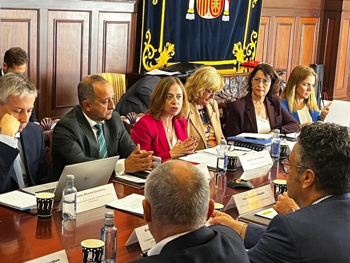 Reunión del Consejo Asesor para la Promoción Estratégica y Comercial de Canarias