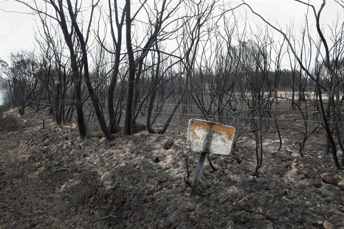 Paisaje calcinado, a 20 de septiembre de 2025, en Pantón, Lugo, Galicia (España). La conselleira do Medio Rural, María José Gómez, ha explicado que las llamas de este incendio forestal calcinaron varias casas y, aunque la situación mejoró con respecto a l