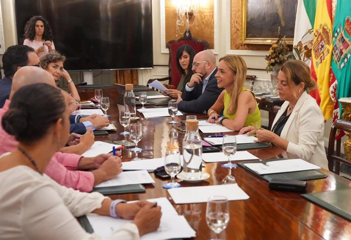 La presidenta de la Diputación, Almudena Martínez, en la Mesa Provincial de Diálogo Social.