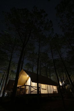 Vive la experiencia de Halloween con OHAI