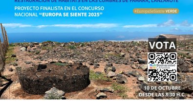 Islas Canarias