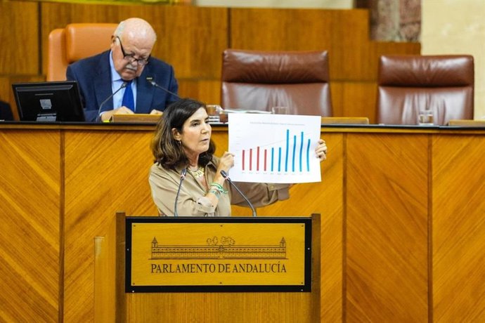 La consejera de Empleo, Empresa y Trabajo Autónomo, Rocío Blanco, comparece en el Pleno del Parlamento andaluz.