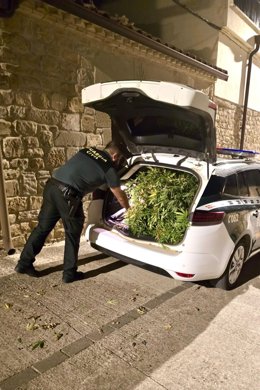 Marihuana localizada en el maletero de un vehículo en Olazagutía.