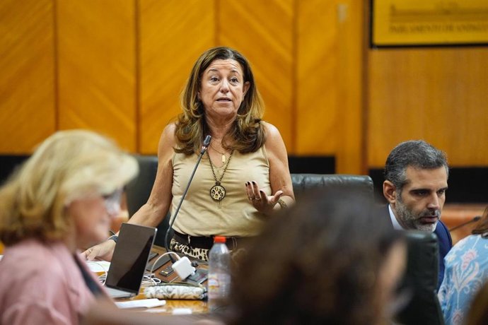 La consejera de Desarrollo Educativo, María del Carmen Castillo, en el Pleno del Parlamento del 9 de octubre de 2025.