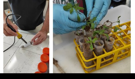 Es  Andalucía - Almería