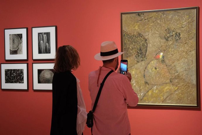 Exposición temporal 'Telúricos y primitivos. De la Escuela de Vallecas a Miquel Barceló' en el Museo Carmen Thyssen Málaga.