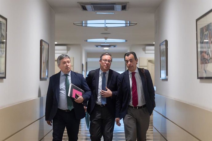 Archivo - El secretario general del PP de Madrid, Alfonso Serrano (c), llega a la Comisión de Investigación sobre el ‘caso Koldo’, en el Senado, a 29 de enero de 2025, en Madrid (España). La comisión trata sobre los contratos, licencias, concesiones, ayud