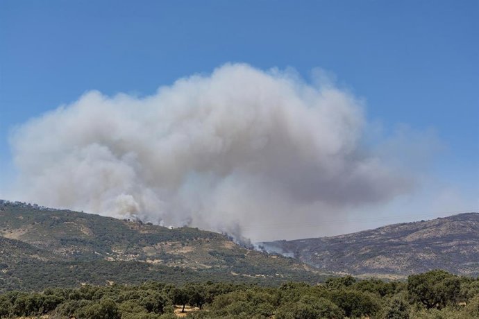 Archivo - Imagen de archivo del incendio de Jarilla