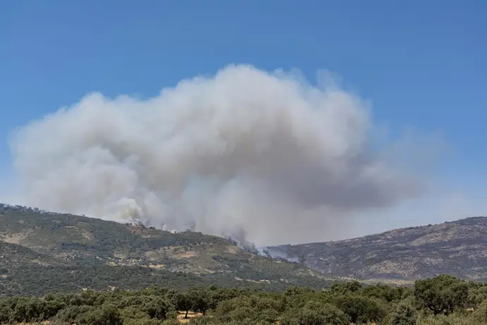 Imagen de archivo del incendio de Jarilla