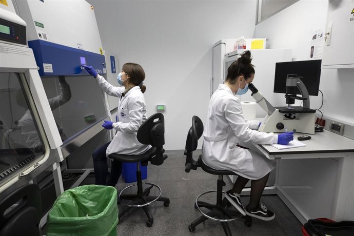 Archivo - Imagen de archivo de unas investigadoras en un laboratorio.