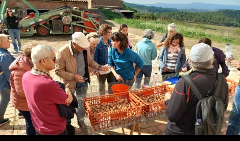 EpAgro - Agricultura