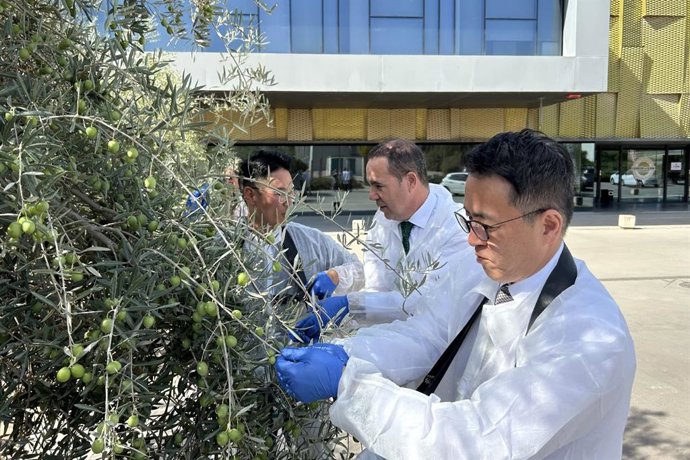 Visita del CEO de AthenaOliva, Howook Lee,  a la sede de la Fundación del Olivar