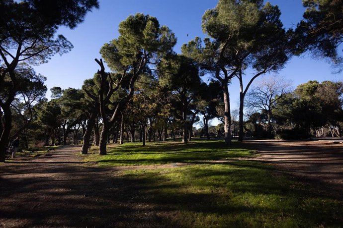 Archivo - Parque de la Dehesa de la Villa, a 20 de diciembre de 2024, en Madrid (España). 