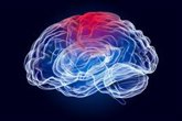 Foto: Identifican las zonas cerebrales más afectadas de pacientes con esquizofrenia