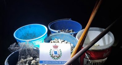 Pesca Galicia