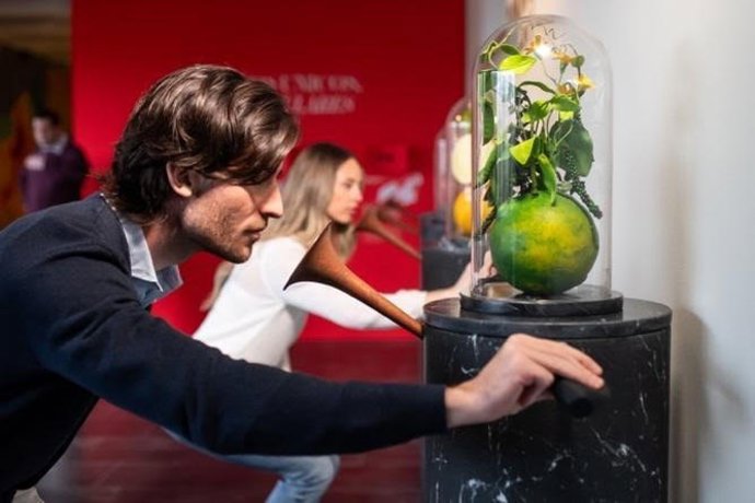 Ramón Bilbao recibe el Premio a la Experiencia Enoturística más Innovadora en los Best Of Wine Tourism Rioja 2026