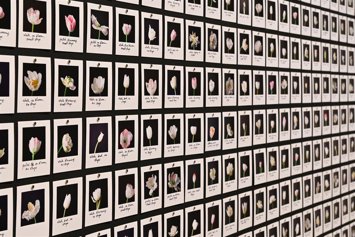 La exposición 'El sueño de la razón'