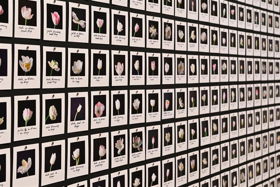 La exposición 'El sueño de la razón'