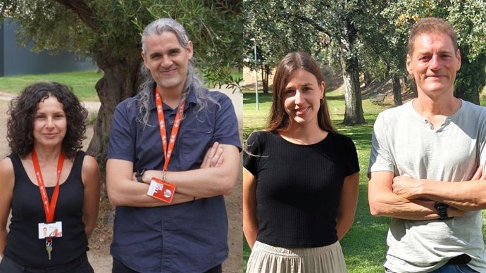 Equipo investigador