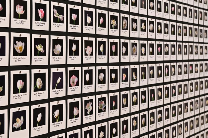 La exposición 'El sueño de la razón'
