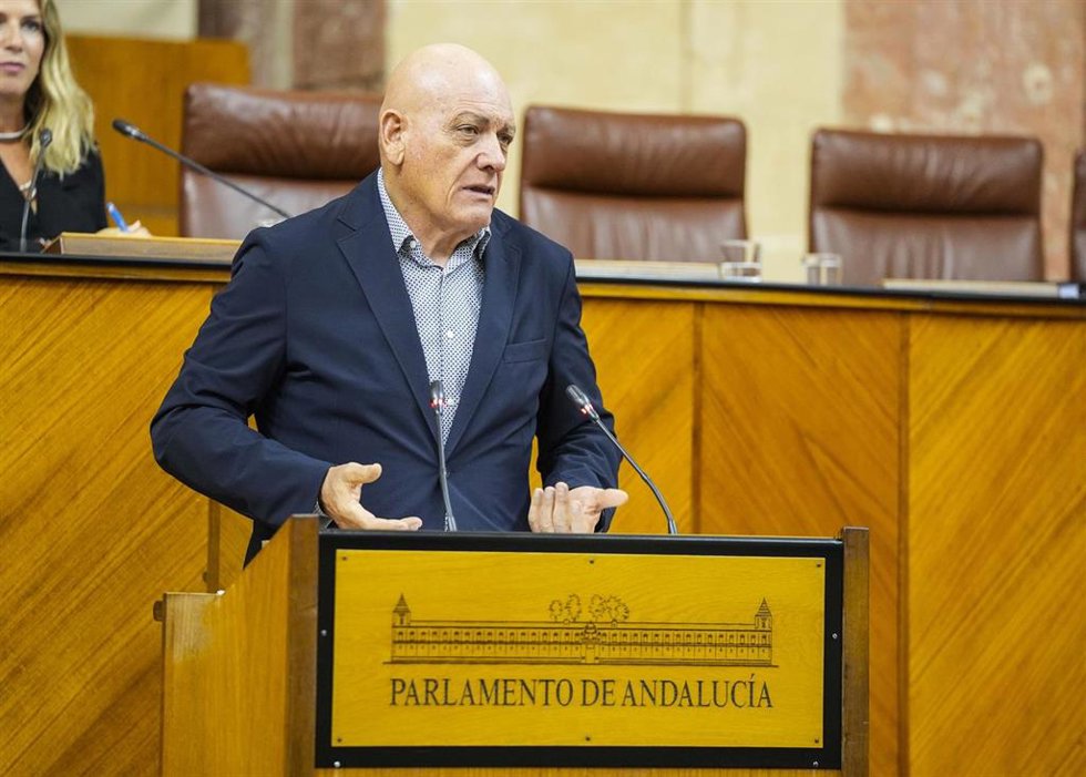 El diputado del PSOE-A Gerardo Sánchez interviene en el Pleno del Parlamento andaluz.