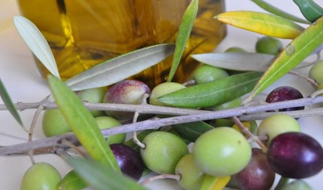 EpAgro - Agricultura