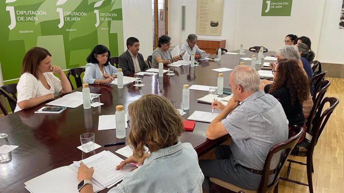 Reunión del Consejo Asesor de Cooperación Internacional de la Diputación de Jaén.