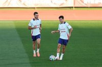 Merino y Zubimendi quieren seguir ganando galones en la 'Roja'
