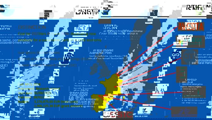 Participantes del proyecto Distinction