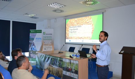 Es Andalucía - Cádiz