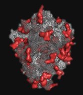 Foto: Un proyecto recupera enzimas ancestrales que podrían aplicarse en la prevención del cáncer y en neurobiología