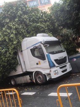 Imagen de la caída del ficus sobre el camión