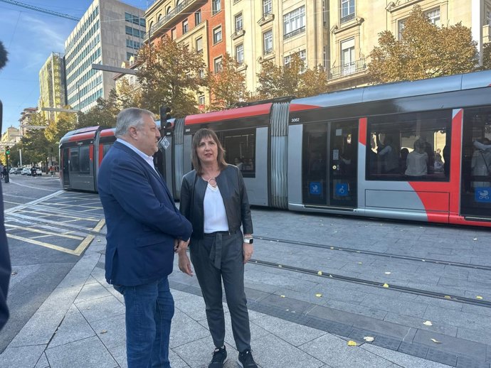 La portavoz del grupo municipal del PSOe en el Ayuntamiento de Zaragoza, Lola Ranera,