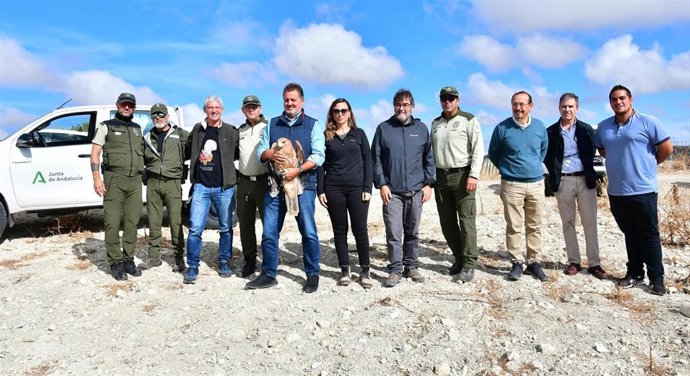 El delegado de Sostenibilidad de la Junta en Granada, Manuel Francisco García, ha liberado el ejemplar de águila