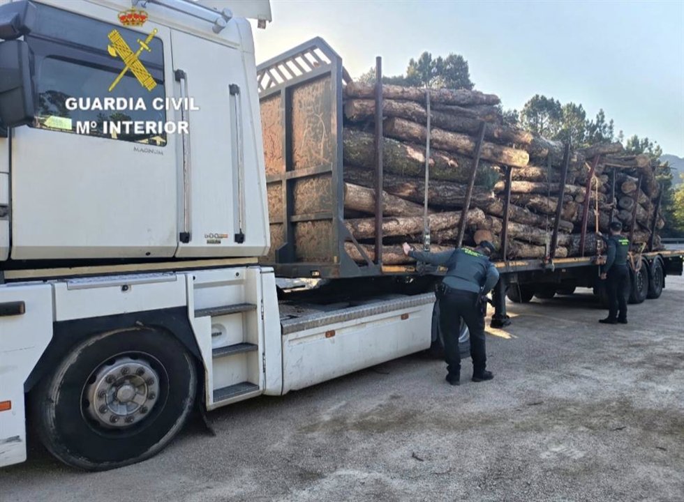 Camión con la madera sustraída.