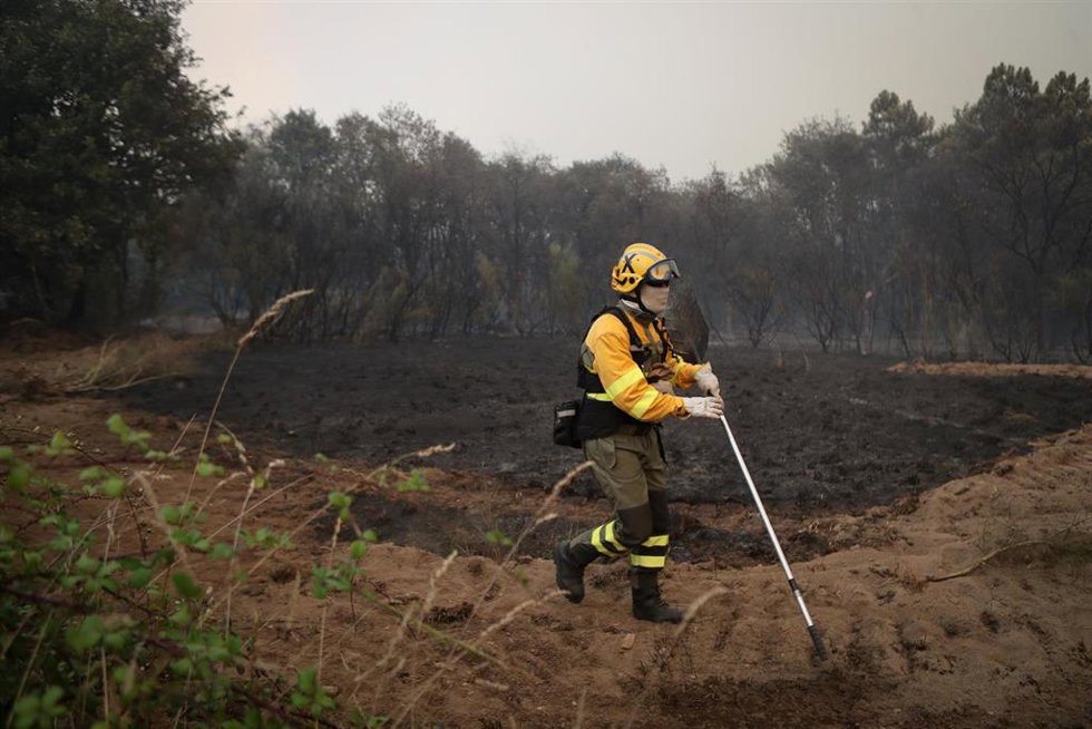 Un bombero forestal trata de extinguir el fuego en Lornís, a 18 de septiembre de 2025, en Pantón, Lugo, Galicia (España). 