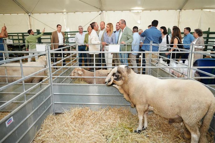 La presidenta de la Diputación de Cádiz, Almudena Martínez inaugura la XII edición de la Feria Ganadera de Benaocaz. 