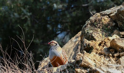 Es Andalucía - Sevilla