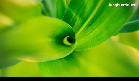 Comunicados Internacional