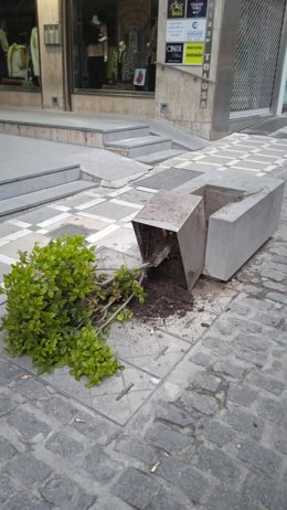 Un macetero tirado en la calle Navas de Tolosa.