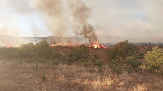 Imagen de las llamas del incendio declarado en El Castillo de las Guardas (Sevilla). (Foto de archivo).