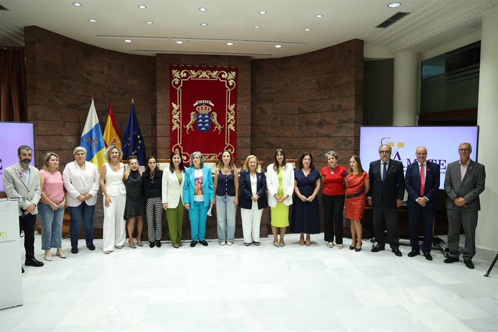 Ámate lleva al Parlamento canario los retos y la realidad de pacientes con cáncer de mama