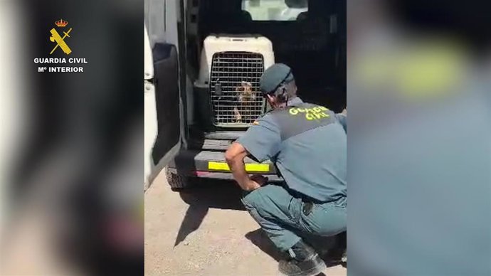 La Guardia Civil investiga a un hombre acusado de maltrato animal en Vícar (Almería).