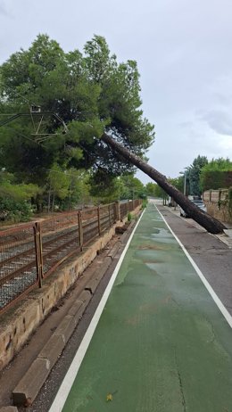 La caída de un árbol sobre las vías de la línea 2 de Metrovalencia provoca la interrupción de la circulación entre Paterna y Llíria