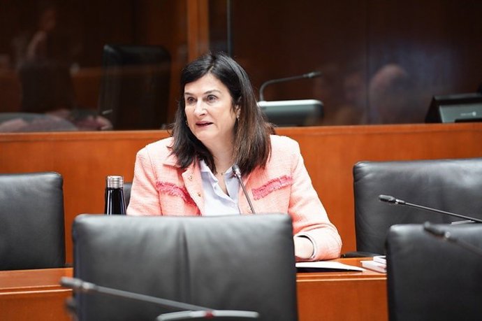 La secretaria general de CHA y portavoz de CHA en la Comisión de Bienestar Social y Familia, Isabel Lasobras