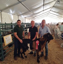 Visita del senador del PSOE por Cádiz Alfonso Moscoso a la Feria de Benaocaz.