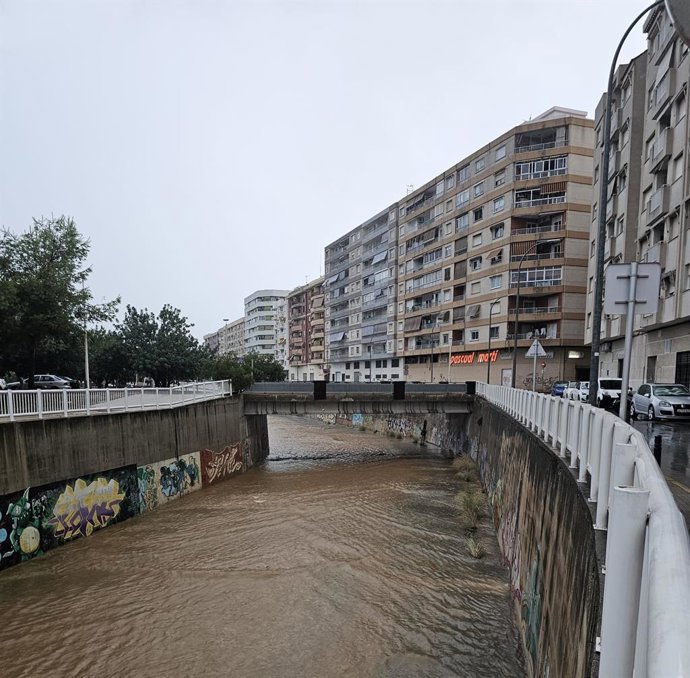 Dana Alice en Gandia