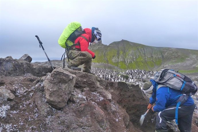 Cristina García Hernández y Jesús Ruiz Fernández tomando muestras de suelos en la pingüinera de Morro Bayli, situada al noreste de la isla Decepción, en la que anidan más de 120.000 parejas de pingüinos anualmente.