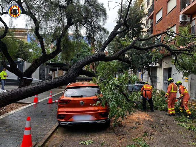 Bomberos retiran un árbol caído en las vías del tren en Massanassa y otro sobre un coche en Picanya